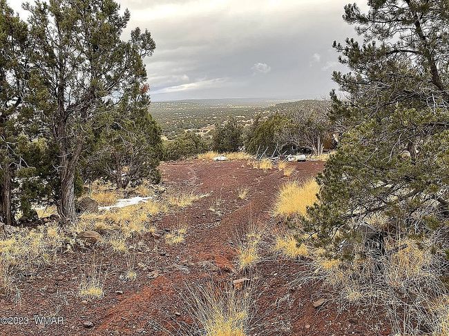 Image of 41 County Road 8296