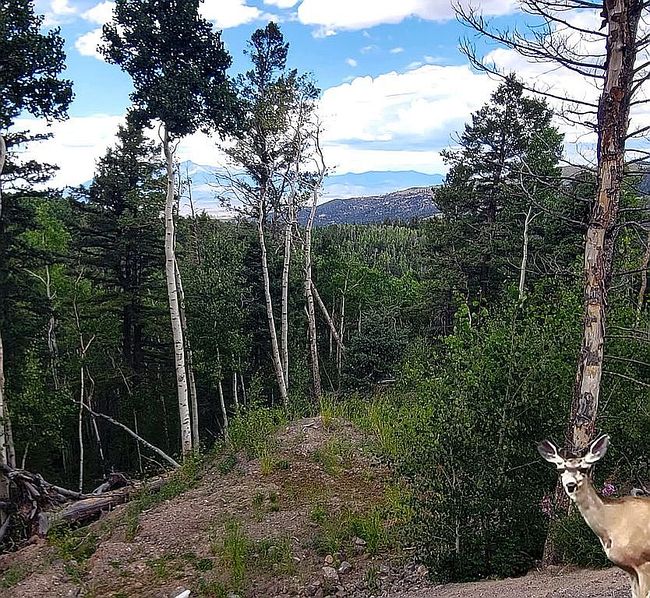 Photo of 5363 Sleger Rd, Fort Garland, CO