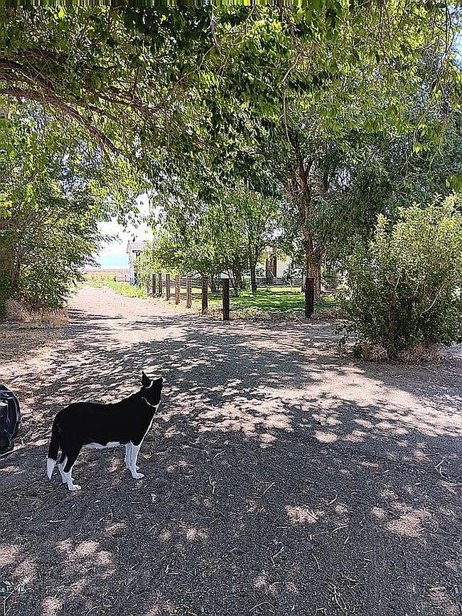 Additional photo 3 of property located at 6055 Colt Dr