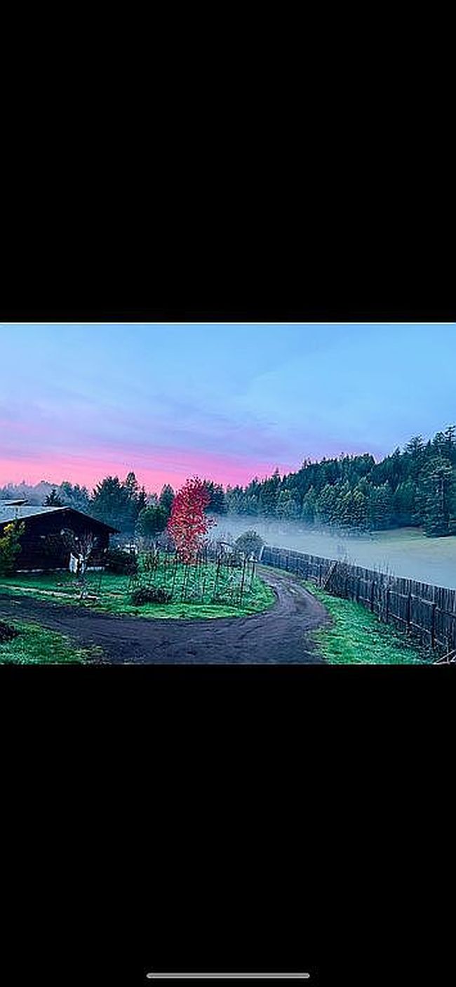 Image of 8475 Flynn Creek Rd
