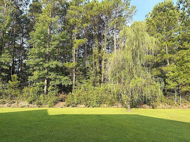 Photo of 160 Winningham Ln, Myrtle Beach, SC