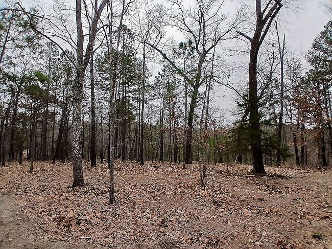 Image of 30134 S 595th Rd