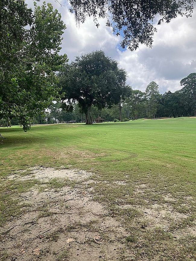 Photo of 12823 Stillwood Dr, Savannah, GA