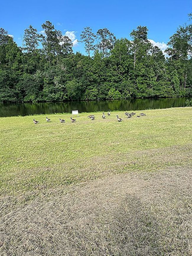 Photo of 166 Kokomo Ln, Bush, LA