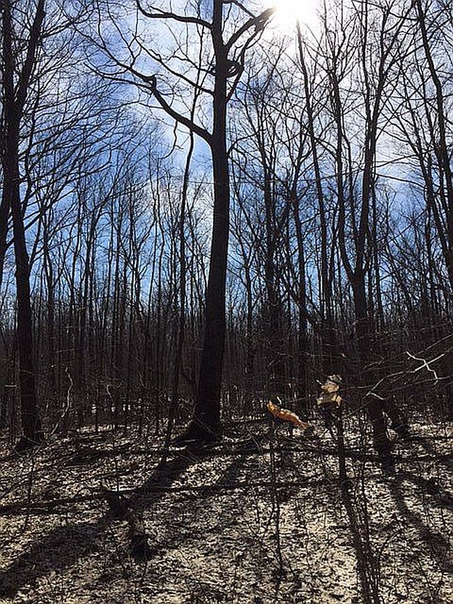 Image of 7151 County Road 15