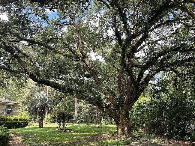 Additional photo 3 of property located at 2025 Autumn Ln