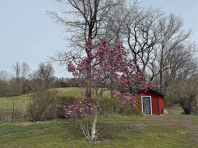 Image of 1741 Spring Valley Rd