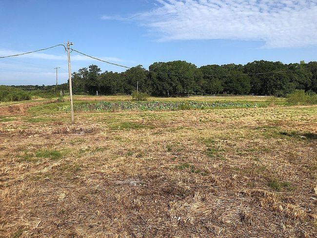 Photo of 2012 Engessor Rd, Zephyrhills, FL