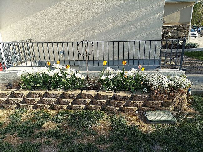 Image of 3219 S Hunter Farm Way