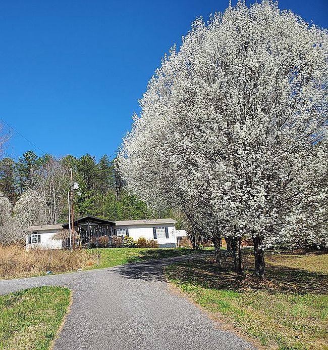 Image of 611 Mountain View Ln
