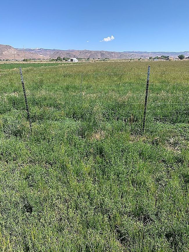 Photo of 1165 E Austin Dr, Elsinore, UT