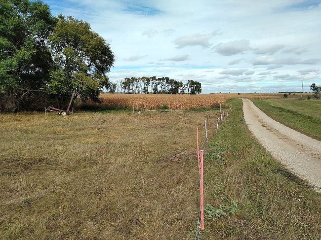 Photo of 47371 113th St, Rosholt, SD
