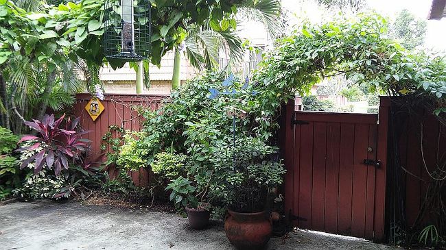 Photo of 2880 Sw 12th St, Deerfield Beach, FL