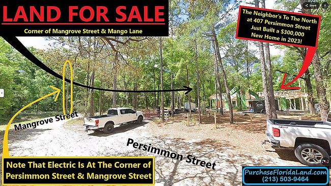 Image of 0 Mangrove St