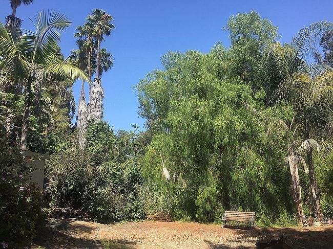 Image of 15 La Crescenta Dr