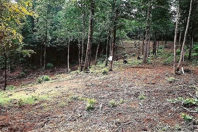 Photo of 60 Brushy Ln, Arley, AL