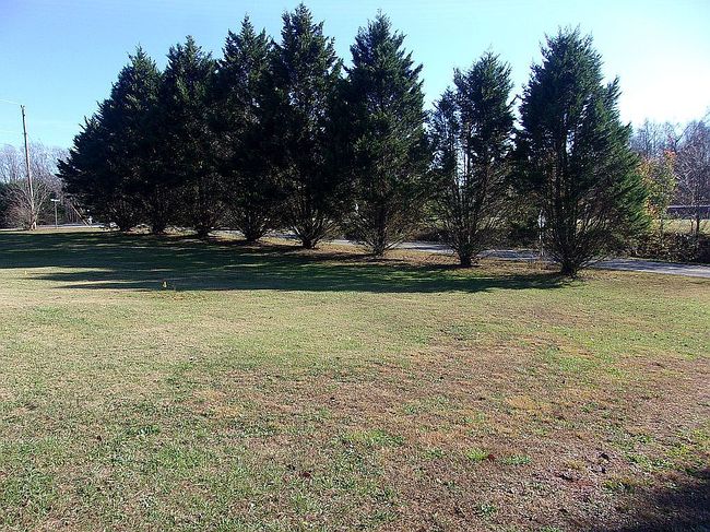 Image of 121 Red Oak Ln