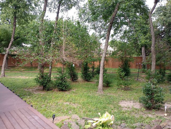 Image of 1002 Nottingham Cir