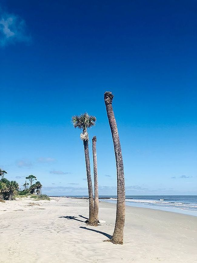 Additional photo 2 of property located at 1607 Park Ave