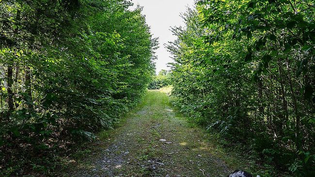 Photo of 10 Phoebe Island Rd, Dover Foxcroft, ME