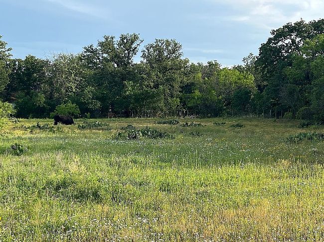 Additional photo 1 of property located at 6901 County Road 136