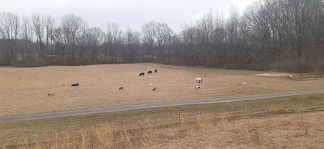 Image of 6025 College Rd
