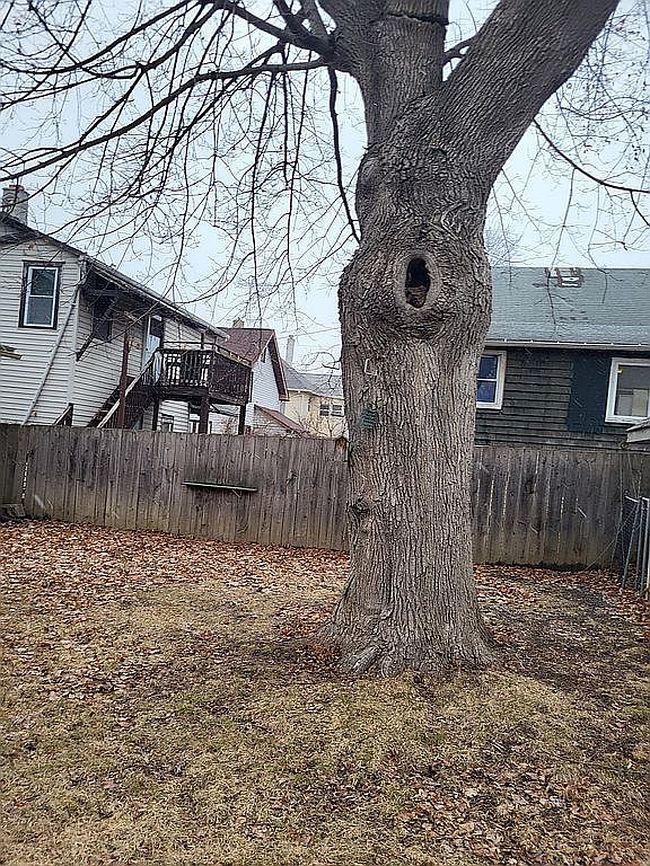 Image of 35 Lusk St
