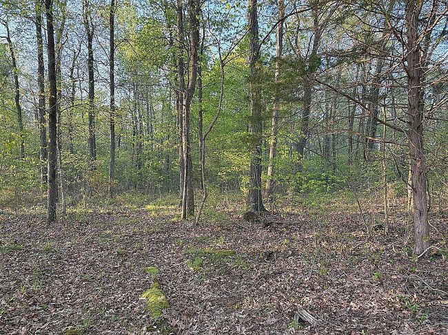 Photo of 848 Old Winchester Rd, New Market, AL