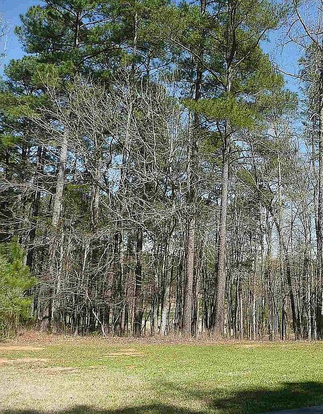 Photo of 1031 Cawthorne Ln, Greensboro, GA