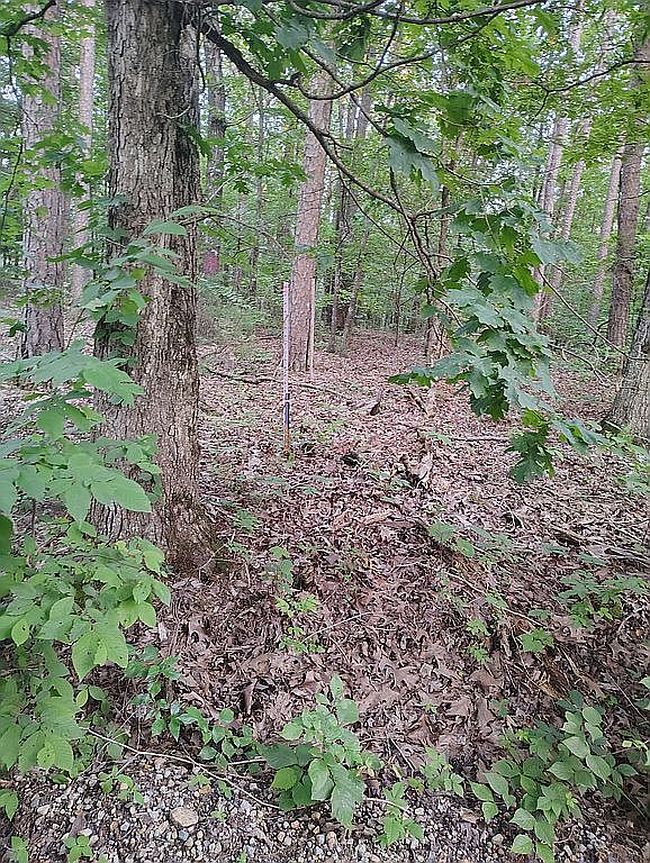 Photo of 7 Peaceful Ln, Yellville, AR