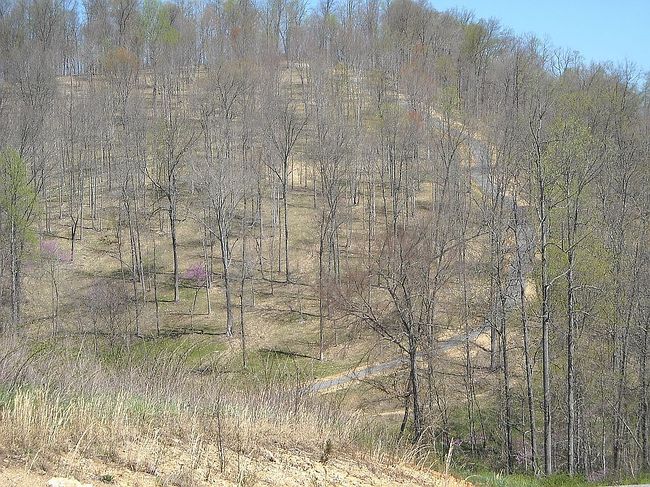 Image of 588 Long Beard Ln