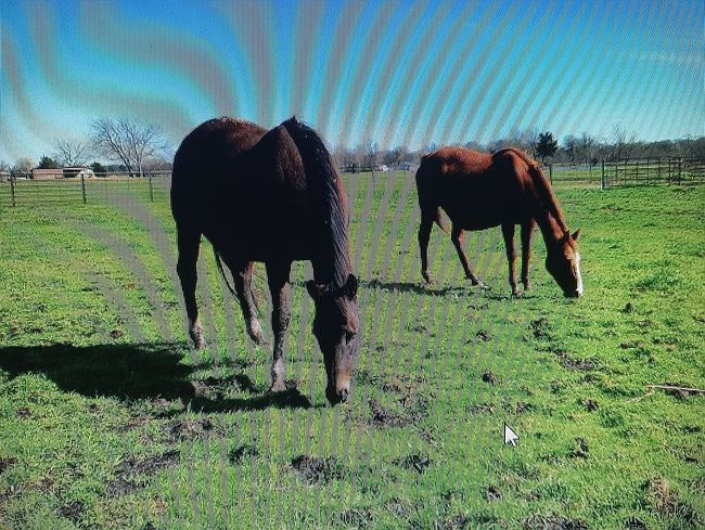 Photo of 5156 County Road 3211, Lone Oak, TX