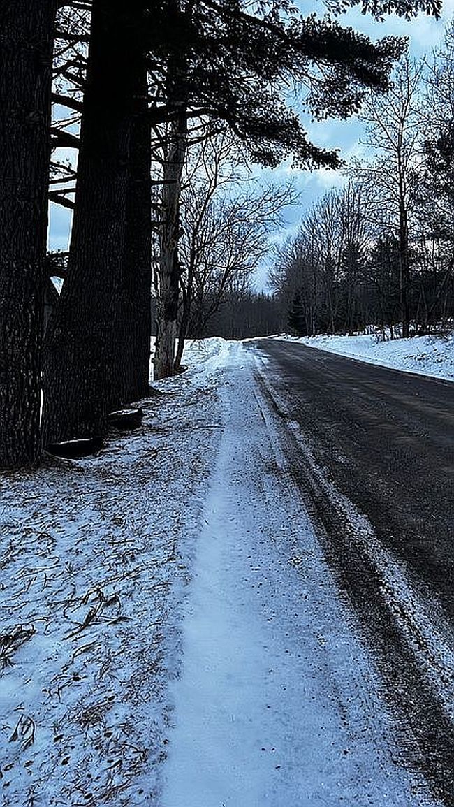 Image of 2059 Loomis Brook Rd