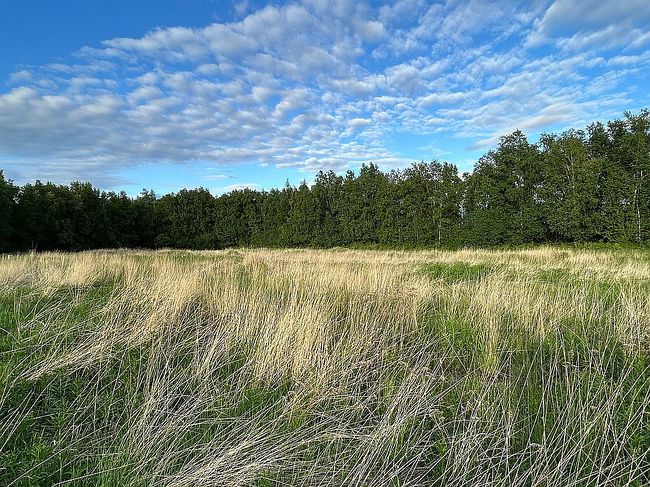 Additional photo 2 of property located at 4445 W Sedlar Cir