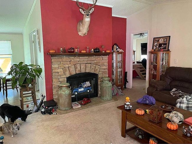 Photo of 720 County Road 2321