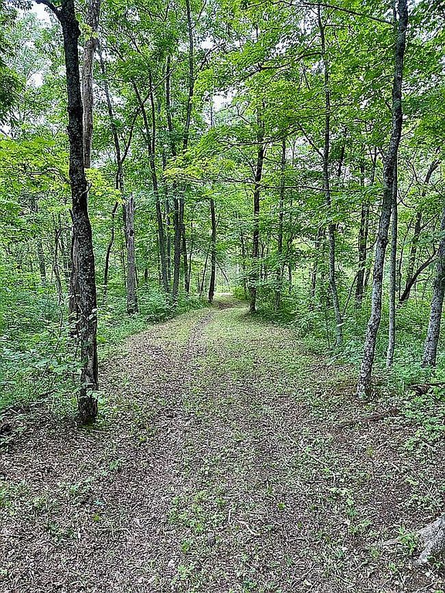 Photo of 5172 Highway 42 W, Bedford, KY