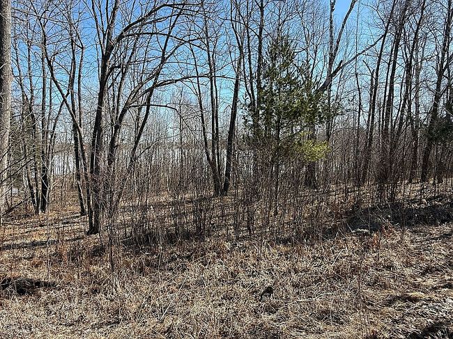 Image of 12865 Sumac Trl