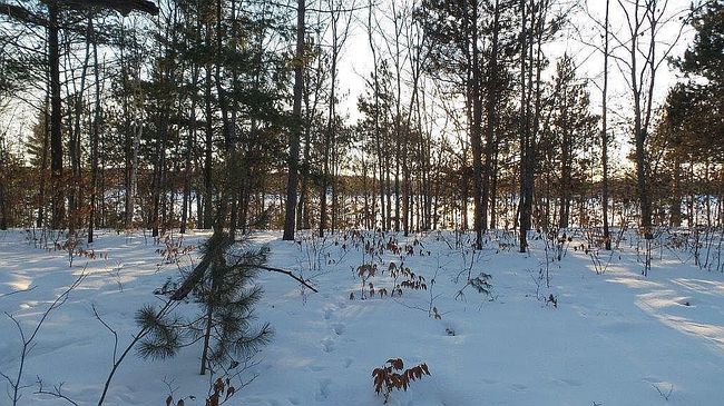 Photo of 5158 Mich A Ke Wa Trl, Cheboygan, MI