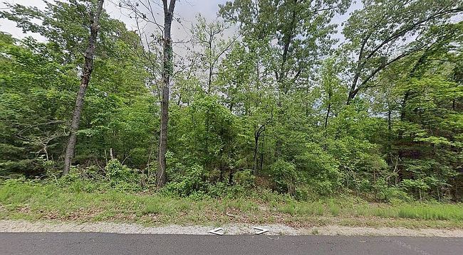Photo of 406 Lansing Circle 0 #800-10627, Horseshoe Bend, AR
