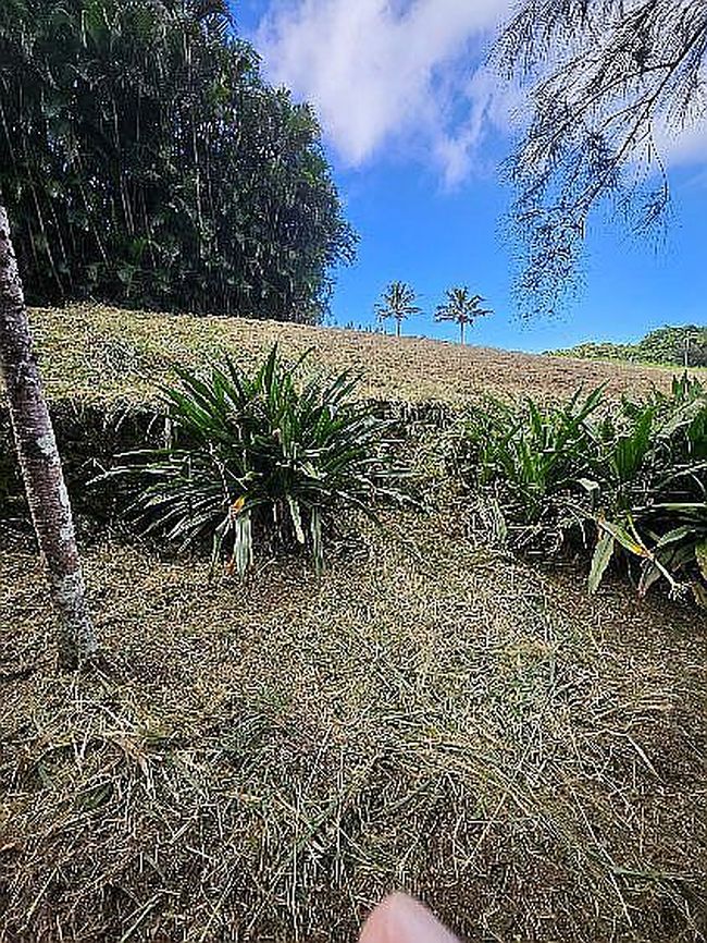 Image of 55-3326 Puu Mamo Dr
