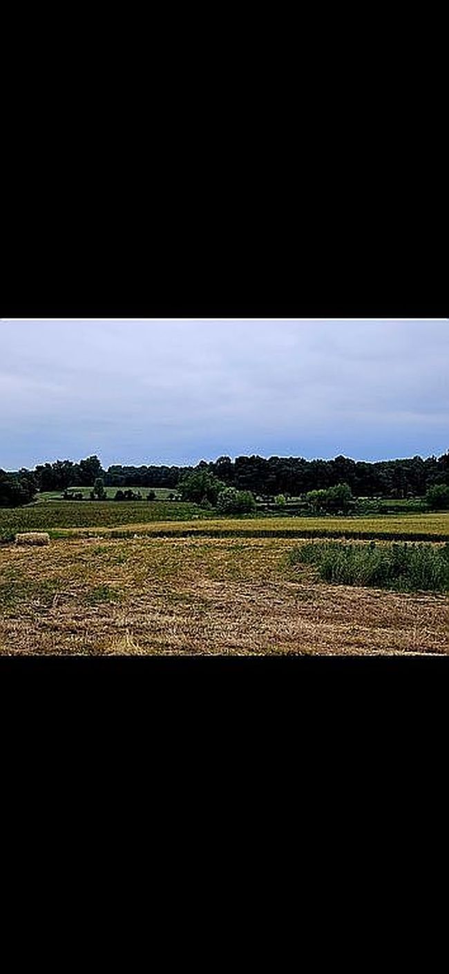 Image of 500 Dairy Ln