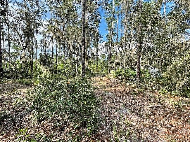 Image of 104 W Star Lake Dr
