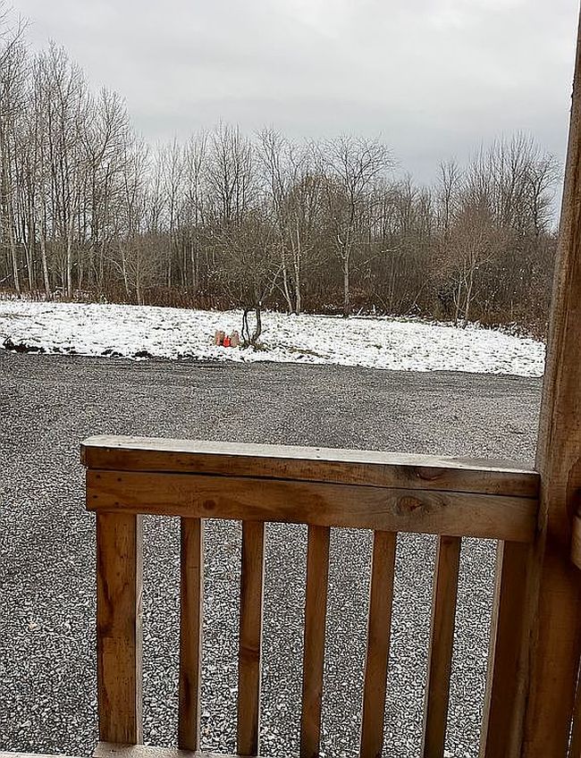 Image of 7122 Van Dressen Rd