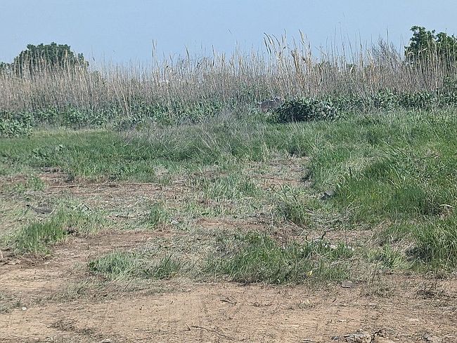 Additional photo 3 of property located at 2924 Columbus Ave