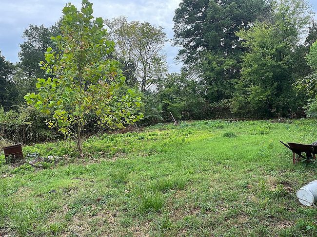 Photo of 310 E Fannin St, De Kalb, TX