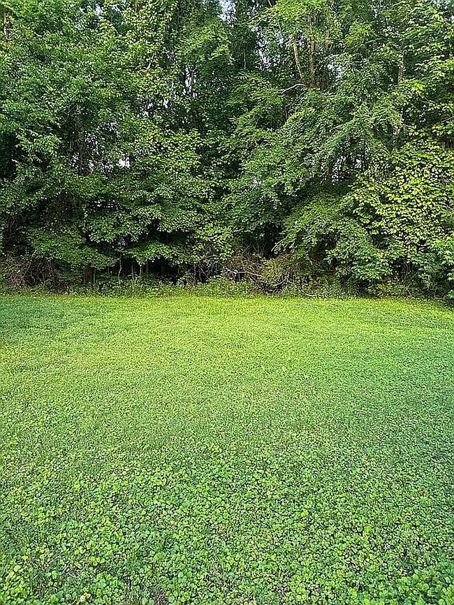 Image of 1332 N Dobys Bridge Rd