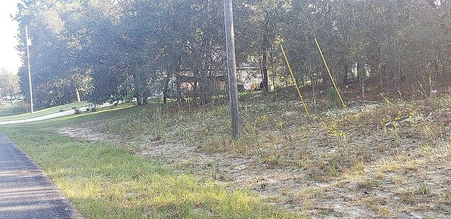 Image of 8175 N Triana Dr