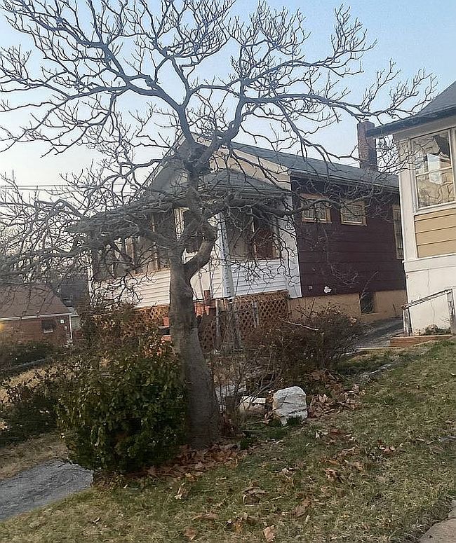 Image of 6069 Garesche Ave