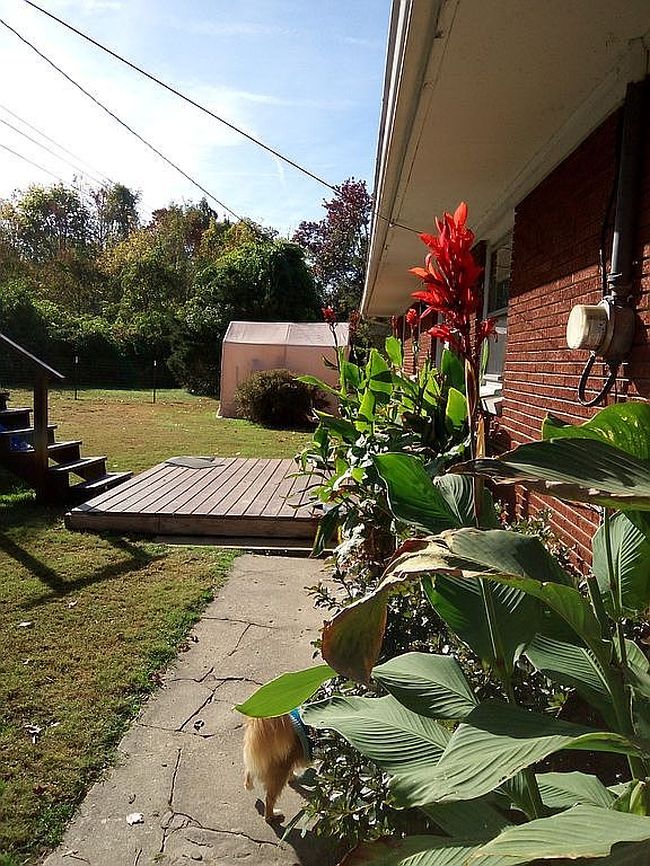 Photo of 74 Gentry Mill Rd, Russell Springs, KY
