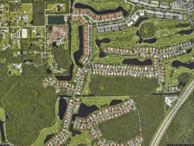 Photo of 7936 Tiger Palm Way